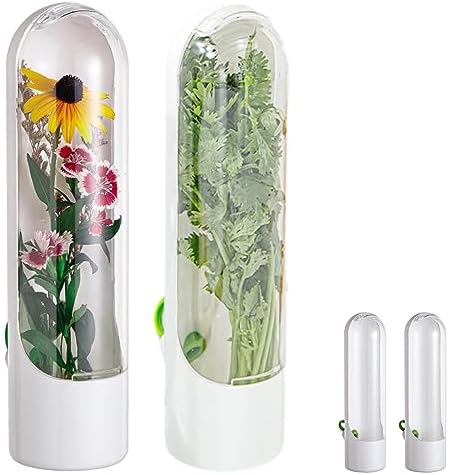 Herb Keeper Container for Refrigerator, Cilantro Saver