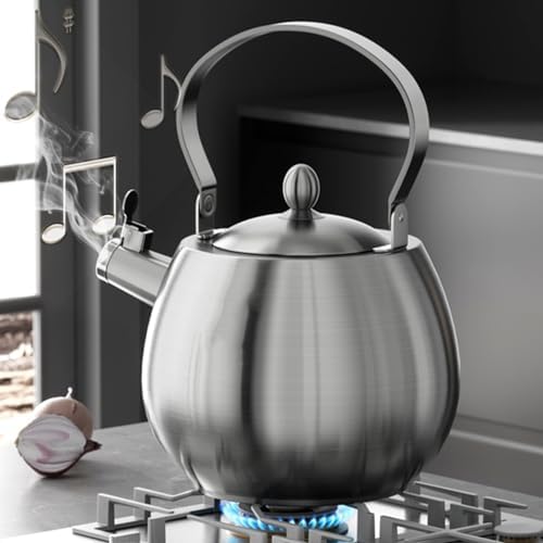 4.2 Quart Tea Kettle, 316 Stainless Steel