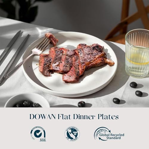 DOWAN 10.5" Large Dinner Plates Set of 6, High Edge Ceramic Plate