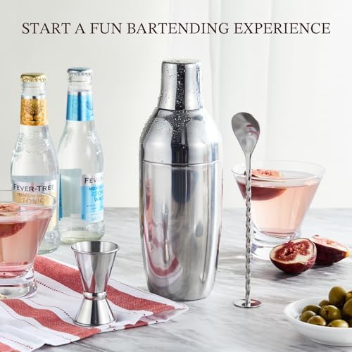 KITESSENSU Cocktail Shaker Set with to-Go Carry Case & 2 Martini