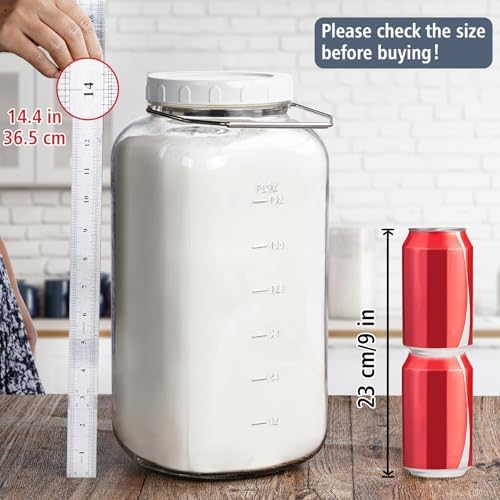 2 Gallon Glass Jar with Airtight Lid