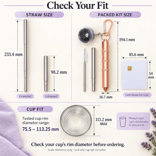 3-in-1 Reusable Metal Straw with Drink Cover & Glass Hammer for Car