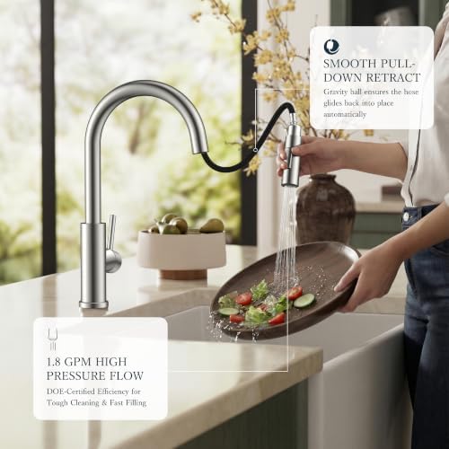 FORIOUS Kitchen Faucet with Pull Down Sprayer