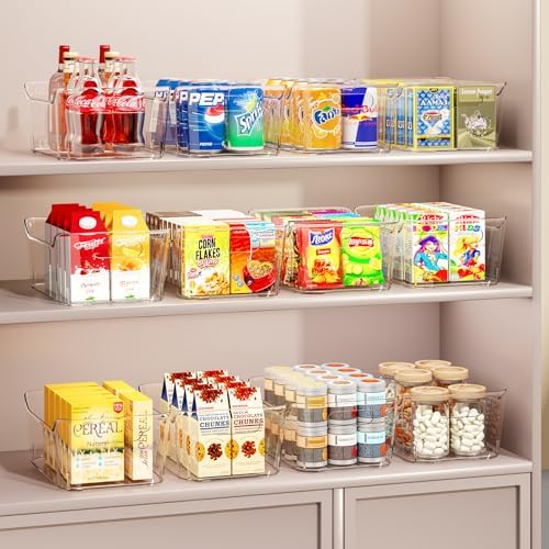 12 Pack Clear Plastic Storage Bins with Handles
