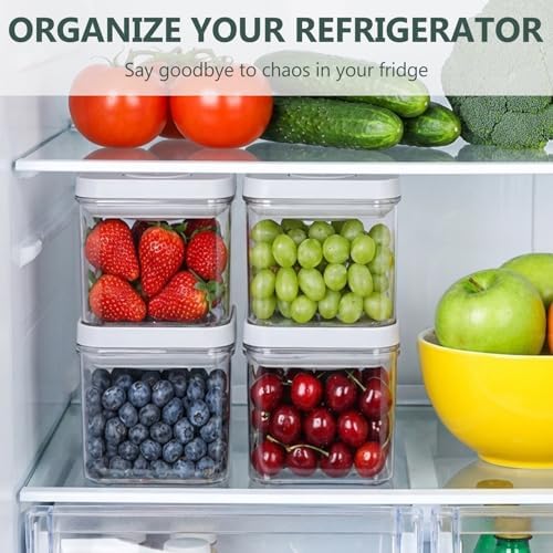 WRINGKIT Set of 4 Airtight Food Storage Containers, One Button Opening