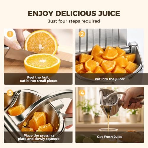 Manual Juicer Hand Press with Ergonomic Heavy Duty Handle - Pour Spout
