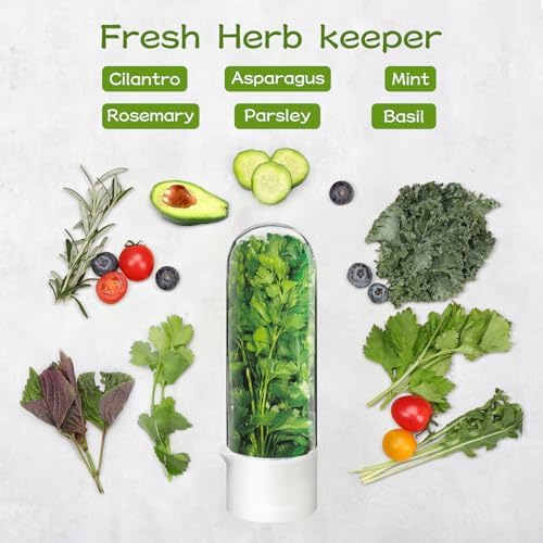 2PCS Herb Keeper Containers for Refrigerator