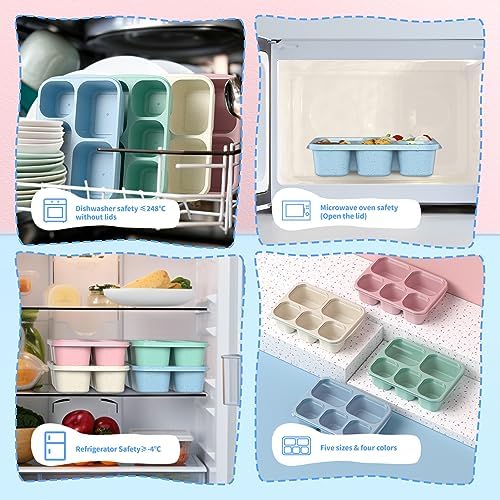 Bento Box Adult Lunch Box - 4 Pack, 5 - Compartment Meal Prep