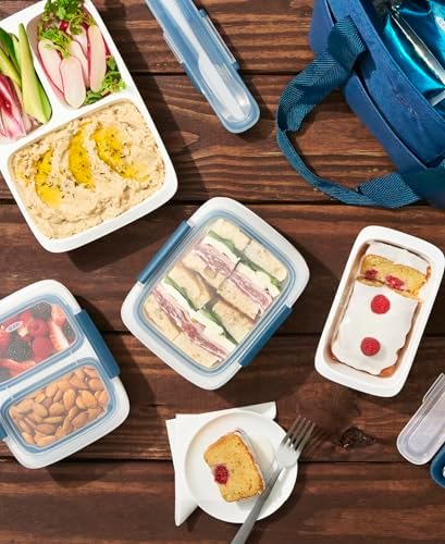 OXO Good Grips Prep & Go 2 Cup Divided Food Storage Container - Ocean