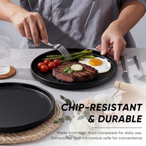 E-far Dinner Plates Set of 6, 10.5 Inch Stoneware Dinner Plate, Black