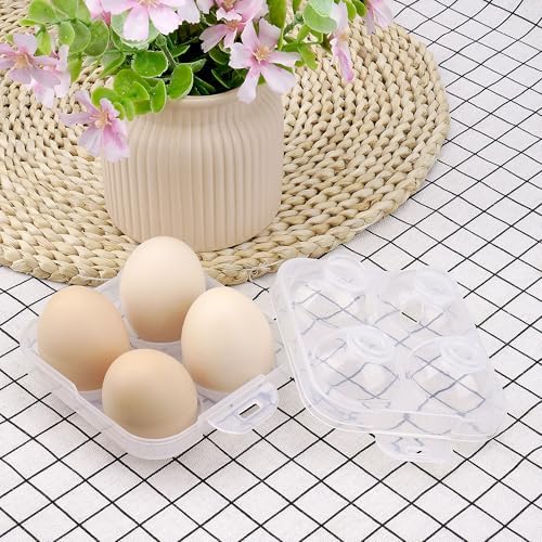 4 Girds E Holder Conggtainer, Plastic Egg Storage Box Shockproof