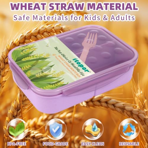 Itopor Bento Lunch Box for Kids & Adults, 1350ml, 3 Compartments
