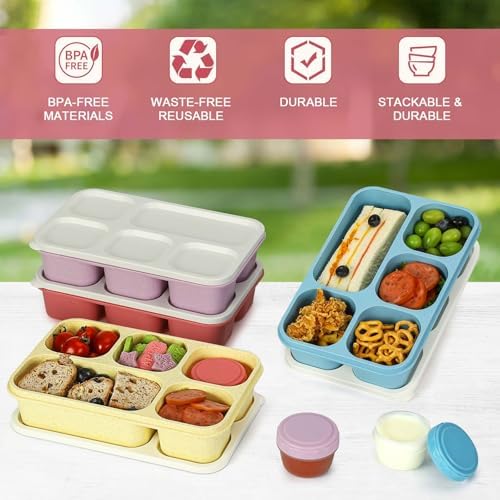 Caperci Large Bento Lunch Boxes for Adults & Kids