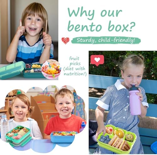 QQKO Bento Box for Kids Adults, School Toddler Lunch Box for Boys