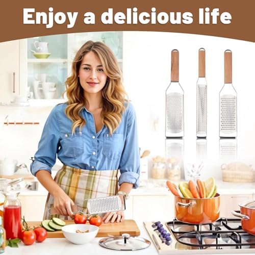 SHIKORI Stainless Steel Cheese Graters, 3-Pcs