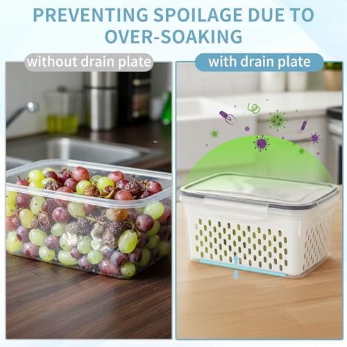 3 Pack Grape Containers for Fridge, 0.9-13.5 Qt