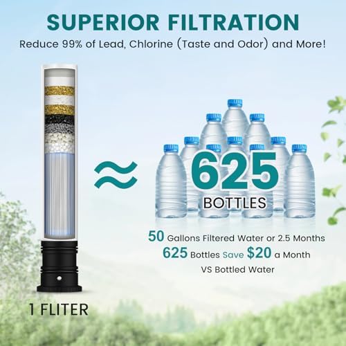 FEELSO Filter Water Kitchen Faucet, Pull-Down Sprayer, Brushed Nickel