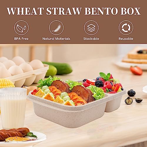 4 Pack 2-Compartment Divided bento Box FOR Kids/Toddle/Adults