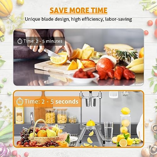 Fruit Cutter Blade Ergonomic Detachable Stainless Steel Sharp Apple