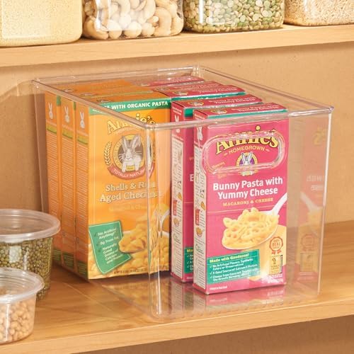 iDesign Linus BPA-Free Plastic Deep Kitchen Storage Bin, Clear