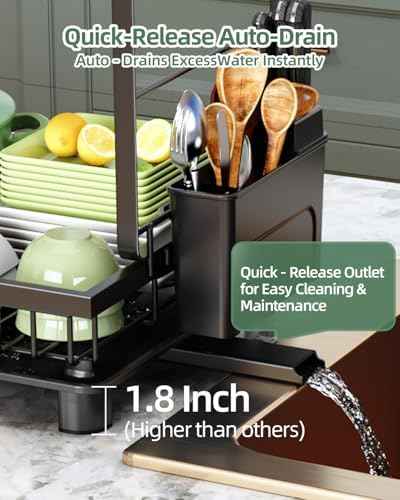 2-Tier Dish Drying Rack for Kitchen Counter, Black