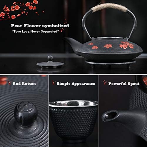 Japanese Style Cast Iron Teapot with Infuser Trivet Tetsubin Kettle