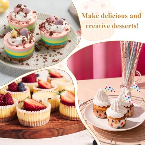 JJUNW 2 Pack 12 Cavity Mini Cheesecake Pan, 13" x 8" Mini Muffin