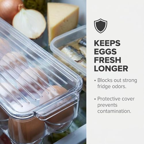 American Dream Egg Holder for Refrigerator, 14 Eggs, Clear