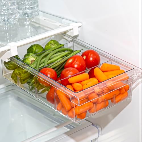 BINO | Pull-out Fridge Organizer | THE HANGER COLLECTION | Fridge