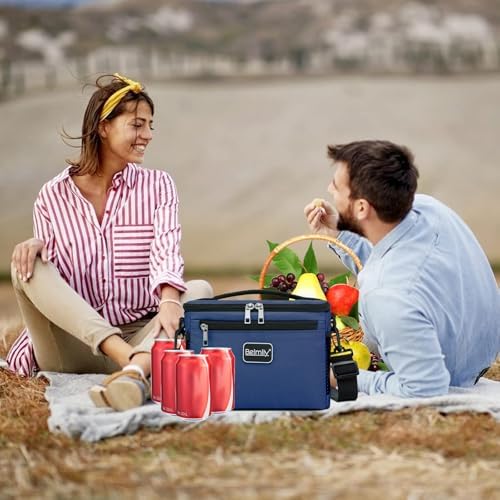 BEIMILY Lunch Box for Men/Women,Small Insulated Lunch Bag,Reusable