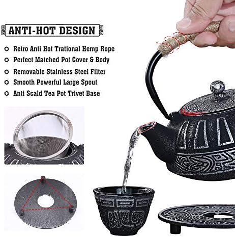 Japanese Style Cast Iron Teapot Set Tetsubin Kettle with Infuser