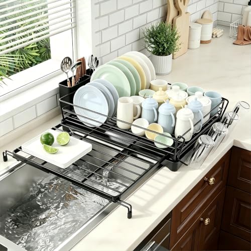 Ekisemio Expandable Dish Drying Rack, Black