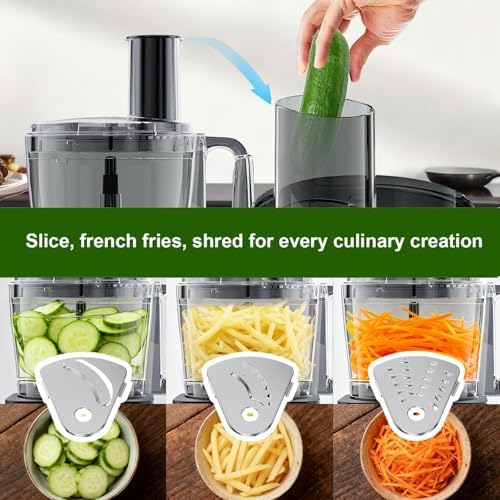 Camic Food Processor and Blender, 600W