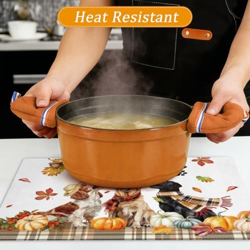 comfoyar Fall Harvest Dog Placemats Set of 4, 12x18 Inch Washable