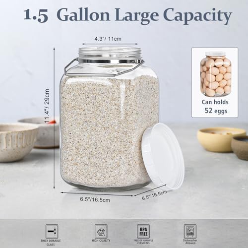 1.5 Gallon/5700 ML Glass Jar with Lid, 2 Pack