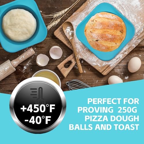 Freezer Soup Tray Silicone Molds - 2 Cup Freezer Cube With Lid,Food