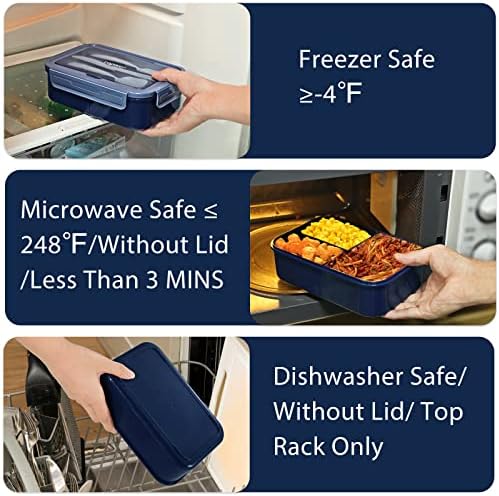 Caperci Classic Bento Box Adult Lunch Box for Older Kids - Leakpoof