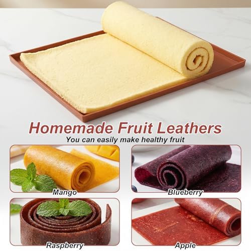 Silicone Dehydrator Sheets, 10 Piece Set