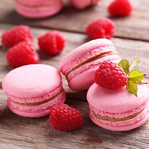 Kasmoire 9 Pcs Round Piping Tip,Macaron Piping Tip,Cake and Cookie