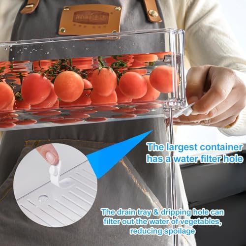 Pure Future 10-Pack Fridge Organizers and Storage Clear Container with Lids