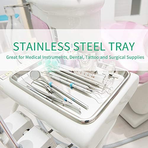 2-Pack Stainless Steel Trays, Medium