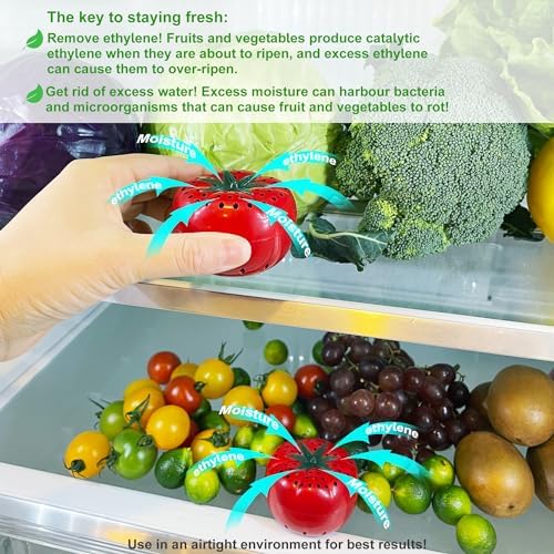 Produce Freshness Preserver Saver Kit, 2 Saver Ball + 8 Refill Sachet