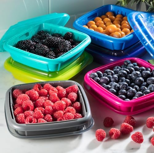 Hutzler 3-in-1 Bitty Box Berry Keeper, 9oz / 1 Cup