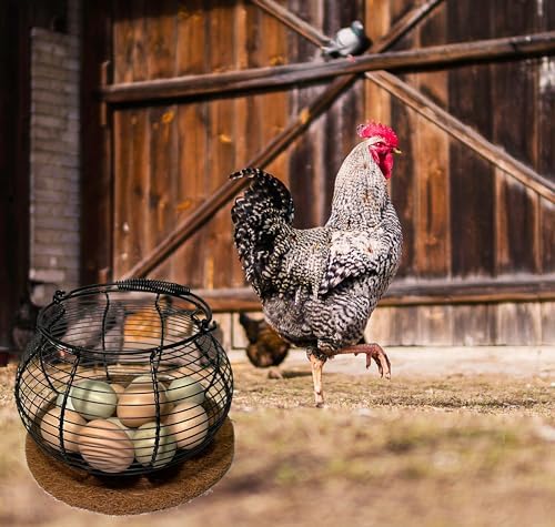 Metal Egg Gathering Basket with Handle
