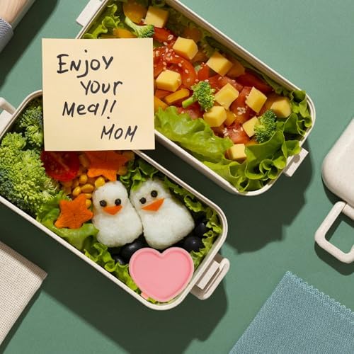 5 Pcs Heart Shaped Valentines Container, Condiment Containers with