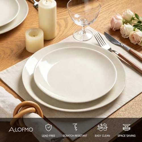 Dinnerware Sets for 4, 12 pcs Reactive Glaze Plates and Bowls Sets