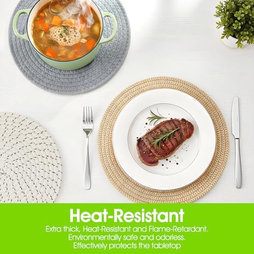 5 Pcs 10 Inch Trivets for Hot Dishes, Extra Large Thick Heat Resistant