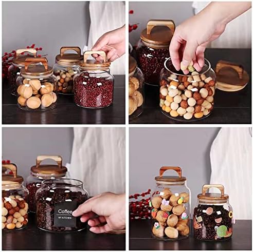 SAIOOL Glass Jars with Airtight Lid [Set of 4],Kitchen Canisters