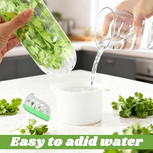 3Pcs Refrigerator Herb Keeper Containers with Herb Stripper