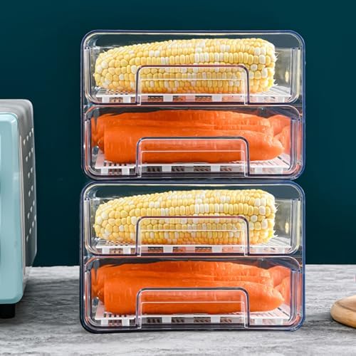 Fridge Drawer 2 Layer Pull-Out Transparent PET Fridge Drawer Organizer
